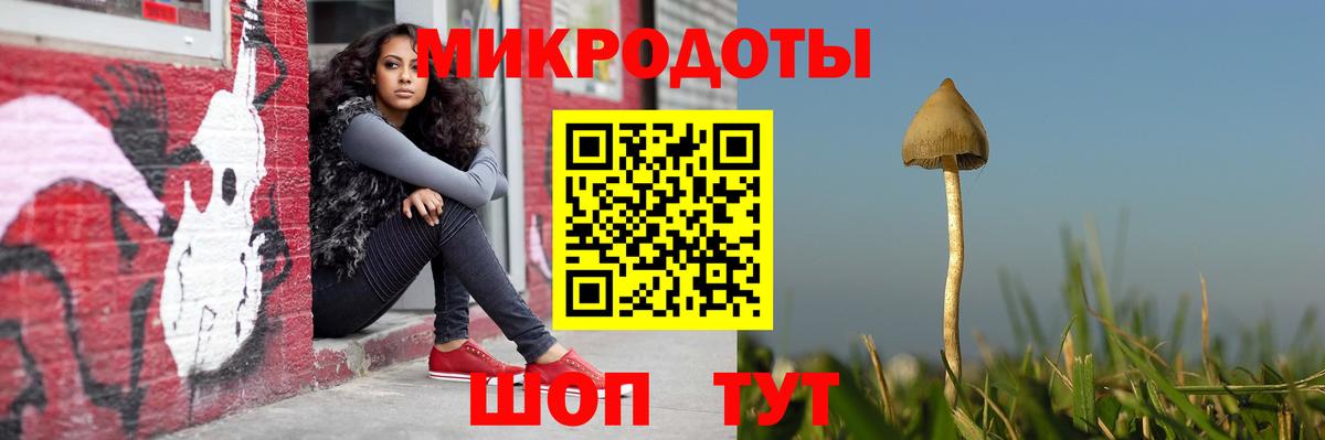 Псилоцибиновые грибы GOLDEN TEACHER Фурманов
